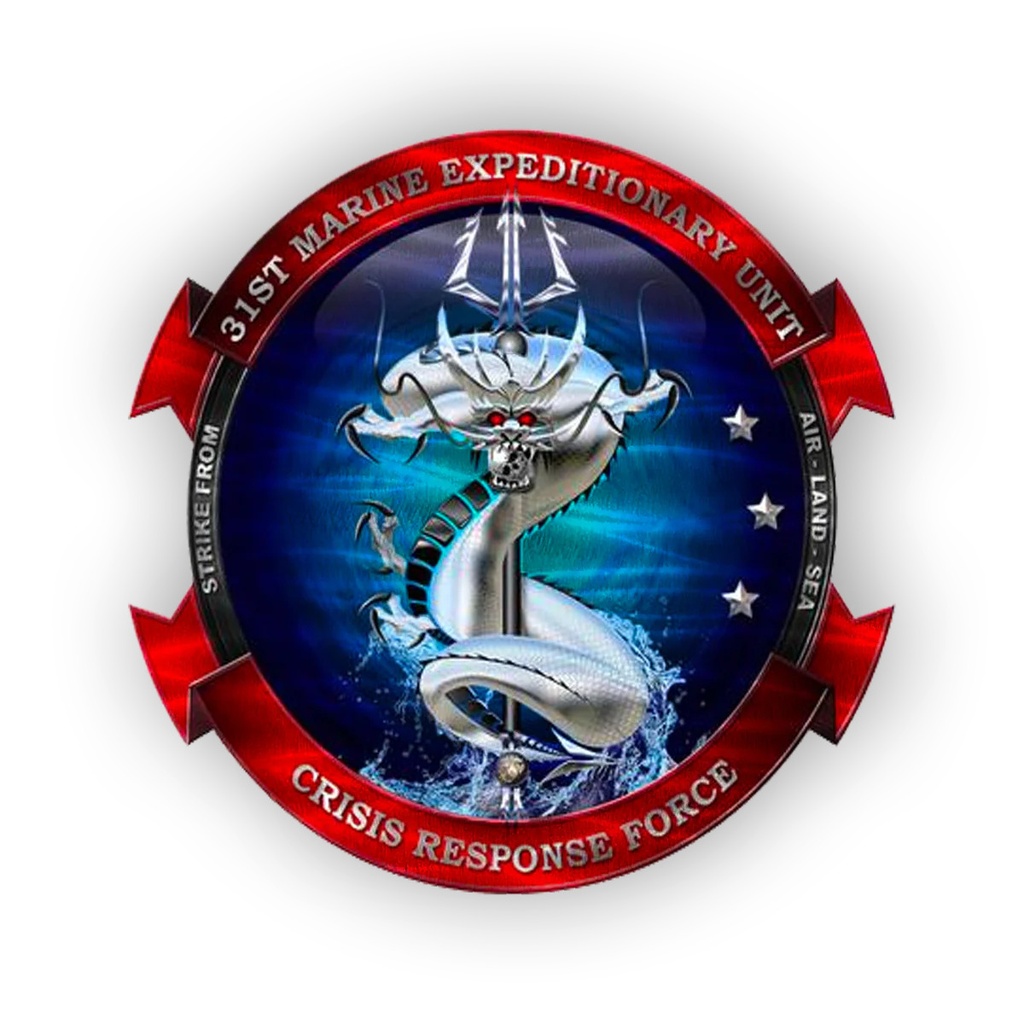 Custom Military Unit Logo Metal Sign