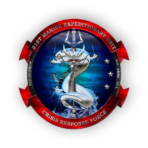 Custom Military Unit Logo Metal Sign
