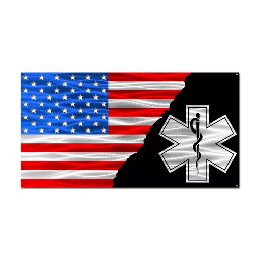 EMS American Split Flag